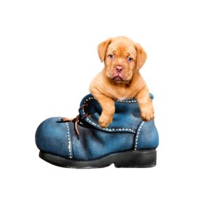 Shoes Bed For Puppy